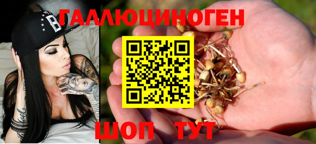 Галлюциногенные грибы мицелий  Вход с VPN  Холмск 