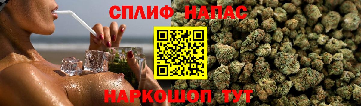 Канабис сатива Холмск